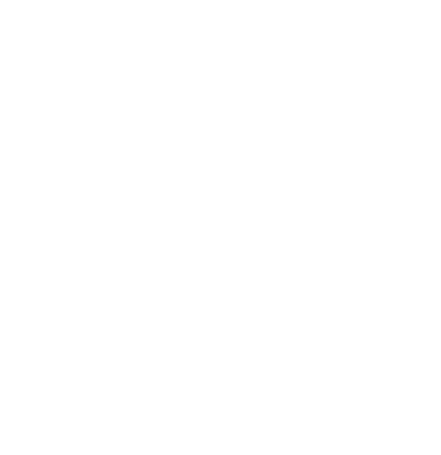 Funghi Bude